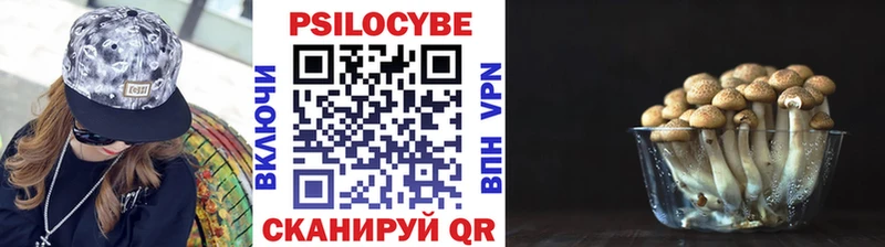 Псилоцибиновые грибы прущие грибы  где найти наркотики  MEGA маркетплейс  Мосальск 