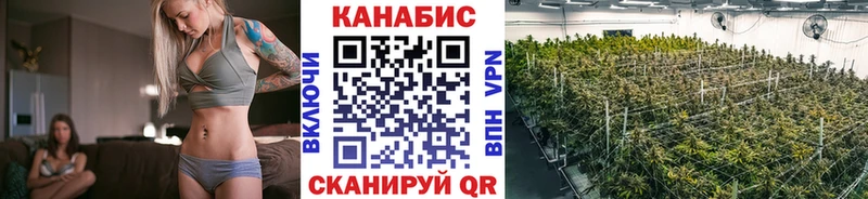 kraken зеркало  Мосальск  Шишки марихуана семена 